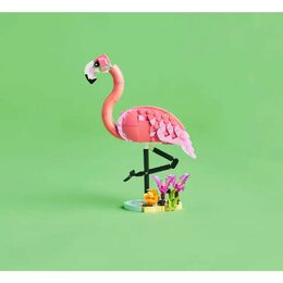 31170 Divoká zvířata:Růžový plameň. LEGO