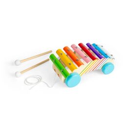 Bigjigs Toys Tahací xylofon