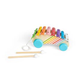 Bigjigs Toys Tahací xylofon