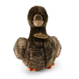 Rappa Plyšová kachna 23 cm ECO-FRIENDLY
