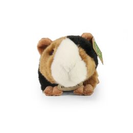 Rappa Plyšové morče 22 cm ECO-FRIENDLY