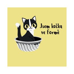 Dámské tričko - Jsem kočka ve formě, vel. M