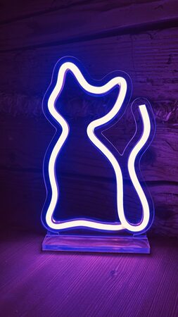 2Kids Toys LED NEON LIGHT lampička Kočka