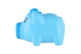 Pokladnička prasátko plast 16x12cm 2 barvy v síťce