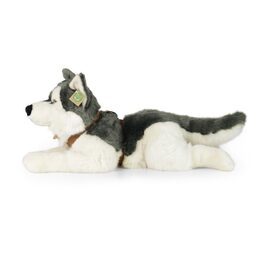 Rappa Plyšový pes husky s obojkem ležící 60 cm ECO-FRIENDLY