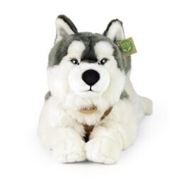 Rappa Plyšový pes husky s obojkem ležící 60 cm ECO-FRIENDLY