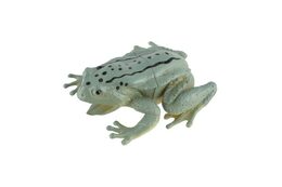 Žába plast 7x7cm mix druhů 36ks v boxu