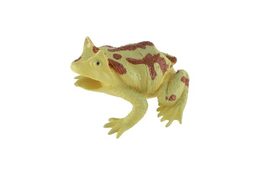 Žába plast 7x7cm mix druhů 36ks v boxu