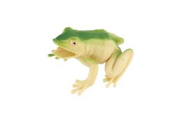 Žába plast 7x7cm mix druhů 36ks v boxu