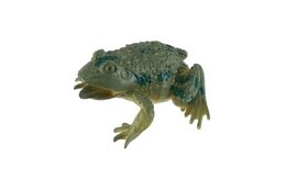 Žába plast 7x7cm mix druhů 36ks v boxu