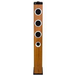 Trevi XT 10A8 BT/WD reproduktor, dřevo