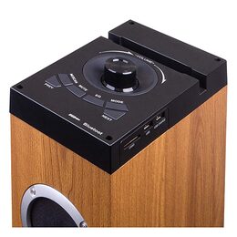 Trevi XT 10A8 BT/WD reproduktor, dřevo