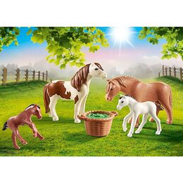 Poníci a hříbata Playmobil, Jezdecký dvůr, 6 dílků | 70682