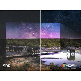 Samsung QE85QN80F NEO QLED