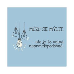 Pánské tričko - Můžu se mýlit, vel. L
