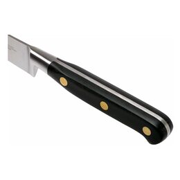 Kuchyňský nůž Lion Sabatier, 711080 Idéal Laiton, nůž na odřezky, čepel 10 cm z
nerezové oceli, POM rukojeť, plně kovaný, mosazné nýty