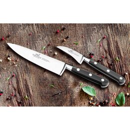 Kuchyňský nůž Lion Sabatier, 800450 Idéal Inox, Chef nůž, čepel 20 cm z nerezové
oceli, POM rukojeť, plně kovaný, nerez nýty