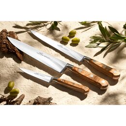 Lion Sabatie 832085 Ideal Provencao Chef nůž, 20cm