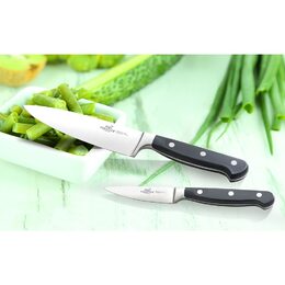 Nůž Lion Sabatier International, 770986, Pluton, nůž na odřezky, 10 cm, nerezová
ocel, POM rukojeť, nerezové nýty