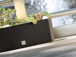 Samozavlažovací květináč Prosperplast Rato Case 51,4 x 19 x 18,6 cm hnědý