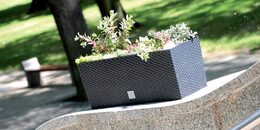 Samozavlažovací květináč Prosperplast Rato Case 51,4 x 19 x 18,6 cm hnědý