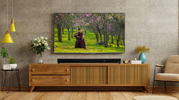 Televize JVC LT-65VGQ8335