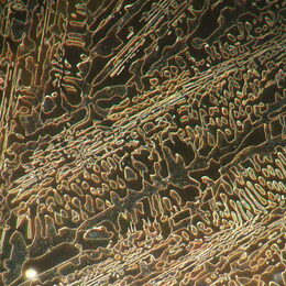 Metalurgický mikroskop MAGUS Metal 650 BD