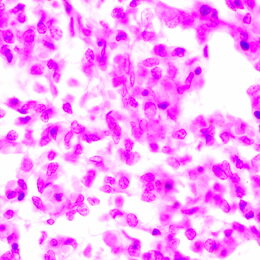 Biologický mikroskop MAGUS Bio 270T