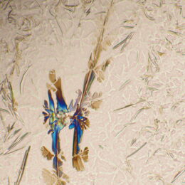 Biologický mikroskop MAGUS Bio 290T