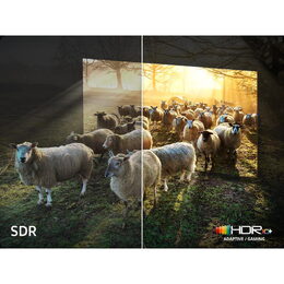 Samsung QE75QN900F NEO QLED 8K