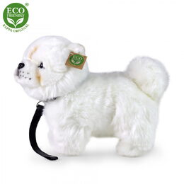 Rappa Plyšový pes Čau-čau 30 cm ECO-FRIENDLY