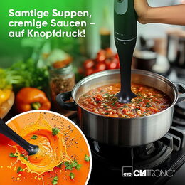 Clatronic SM 3824 tyčový mixér 350W