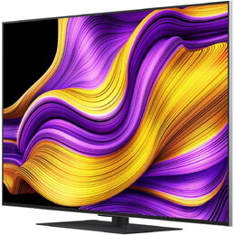 OLED55G56LS OLED evo TV LG