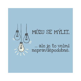 Pánské tričko - Můžu se mýlit, vel. XL
