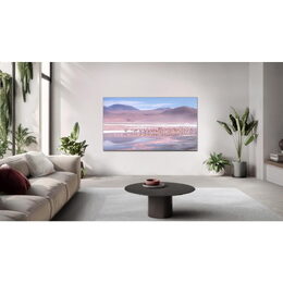 43P79K QLED TV TCL