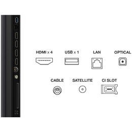65C69K Mini LED QLED TV TCL