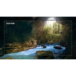 Samsung QE55S90F OLED