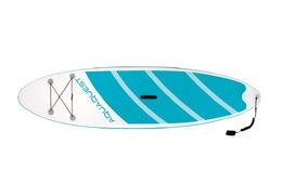 Paddleboard 320 cm