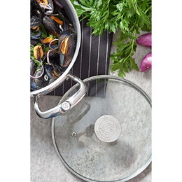 Poklice de Buyer, 3429.28, skleněná poklička, průměr 28 cm, nerez hrany