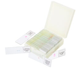 Discovery Prof Specimens DPS 25. Biology, Birds, e