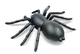 RC Pavouk