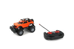 RC auto 1:24