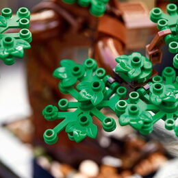 LEGO® Creator 10281 Bonsaj