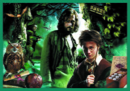 Puzzle 10v1 Harry Potter - Ve světě Harryho Pottera