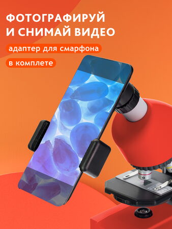 Bresser Junior 40x-640x Microscope, red (70122)