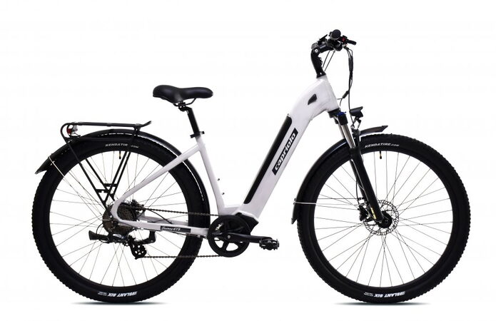 Elektrokolo Capriolo E-City28-Journey light grey