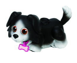 Pet Parade, 1ks