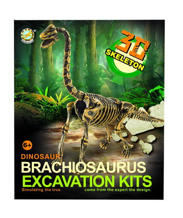 Archeologický set 3D Brachiosaurus