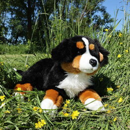 Rappa Plyšový Bernský salašnický pes ležící 61 cm ECO-FRIENDLY