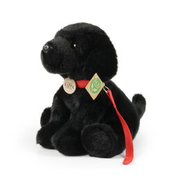 Rappa Plyšový pes labrador černý s vodítkem 28 cm ECO-FRIENDLY